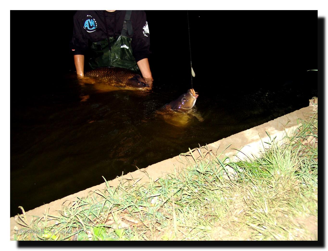 1-4 iunie tancabesti - dsc00302.jpg